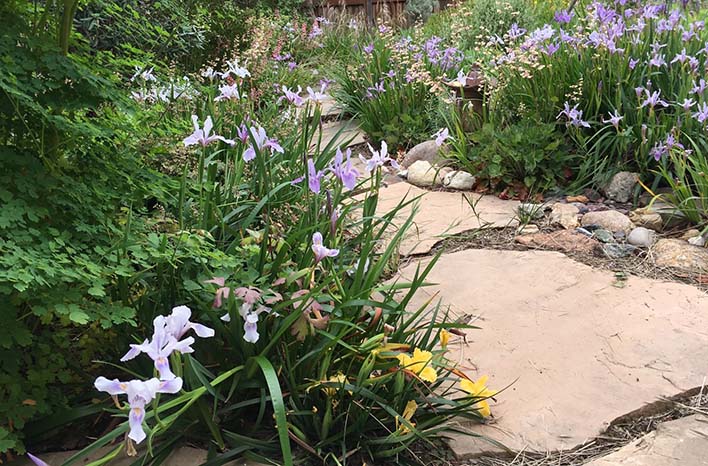 Edges creates cues to care