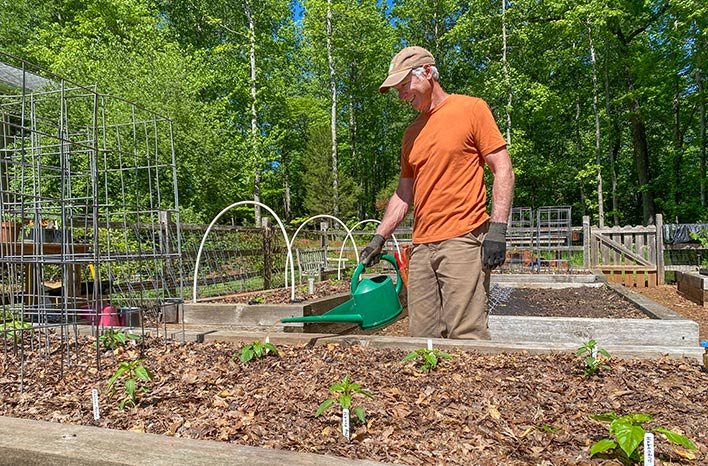 Joe watering the garden