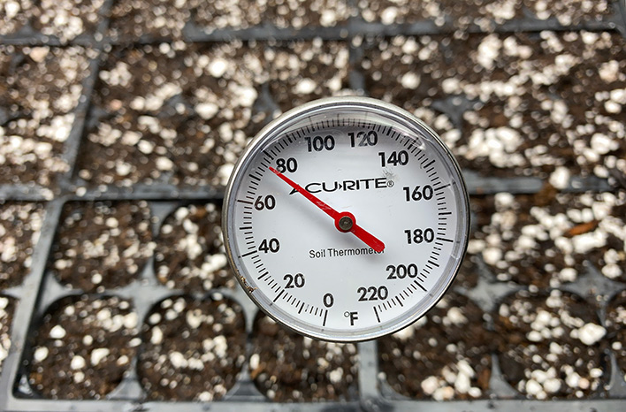 Soil thermostat for checking soil temperature for germination