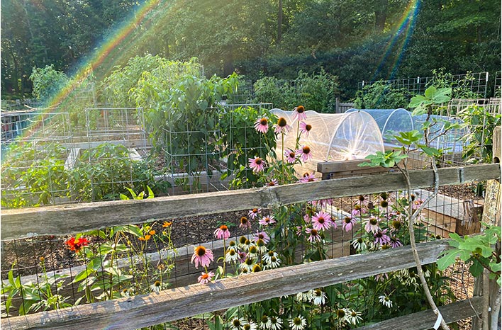 Joe Lamp'l Garden in Summer