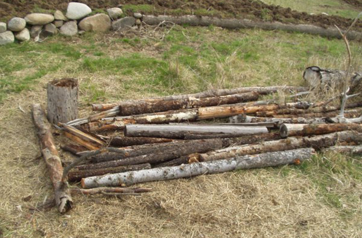 rotten wood arrangement for Hugelkultur