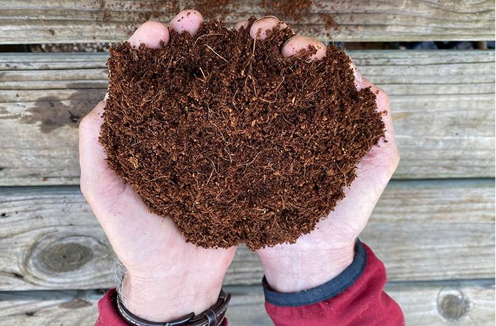 Coir seed starting medium