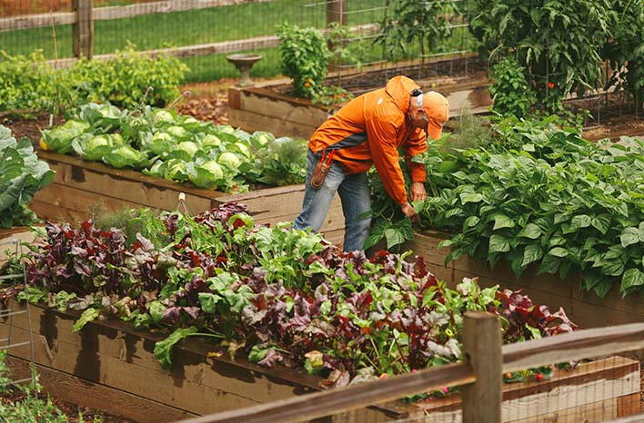 Joe Lamp'l working in his garden