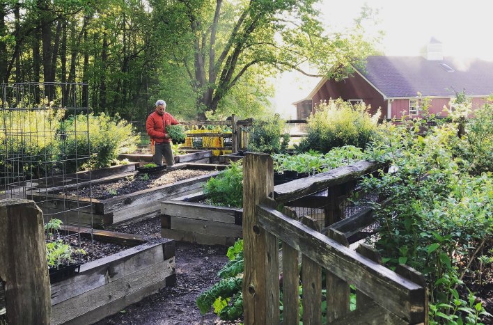 Joe Lamp'l in garden