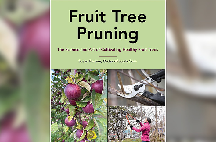 Fruit Tree Pruning