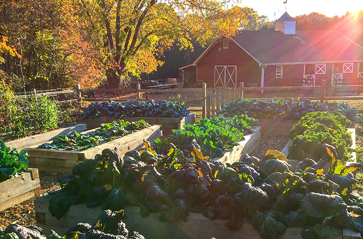 GardenFarm in Fall