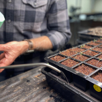 I'm sharing my seed starting essentials to help you get a hard start on your garden this year.