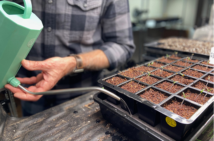 I'm sharing my seed starting essentials to help you get a hard start on your garden this year.