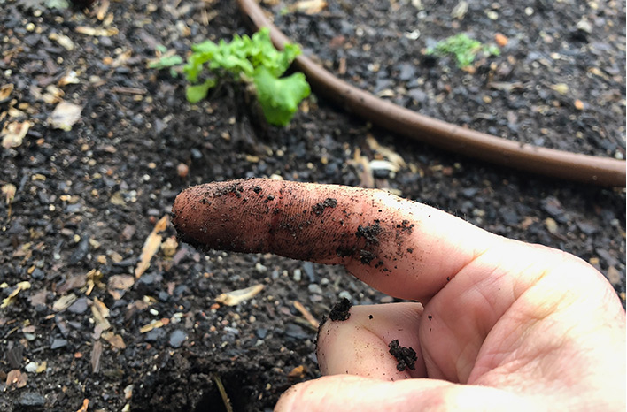 Soil with good tilthe