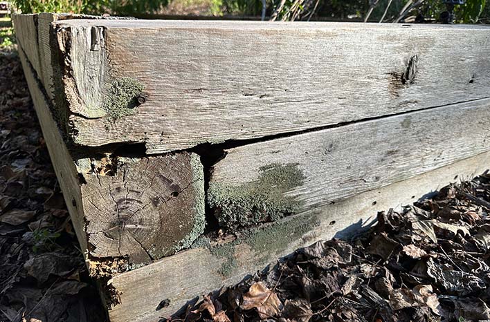 Deterioriating Raised Beds