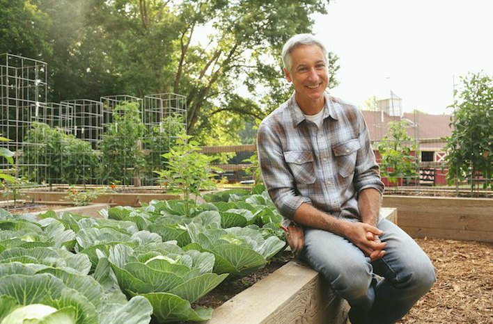 Joe Lamp'l raised bed gardens