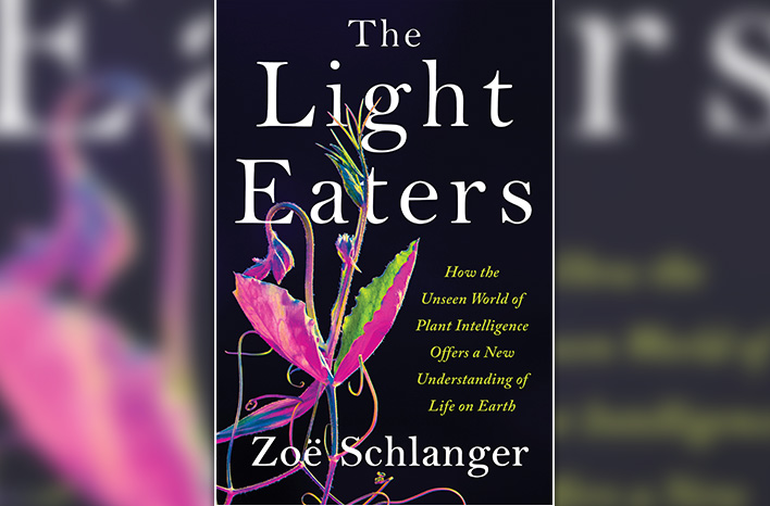 Light Eaters by Zoe Schlanger