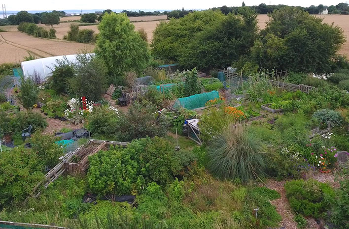 Liz Zorab's former homestead, an oasis among monoculture farming.