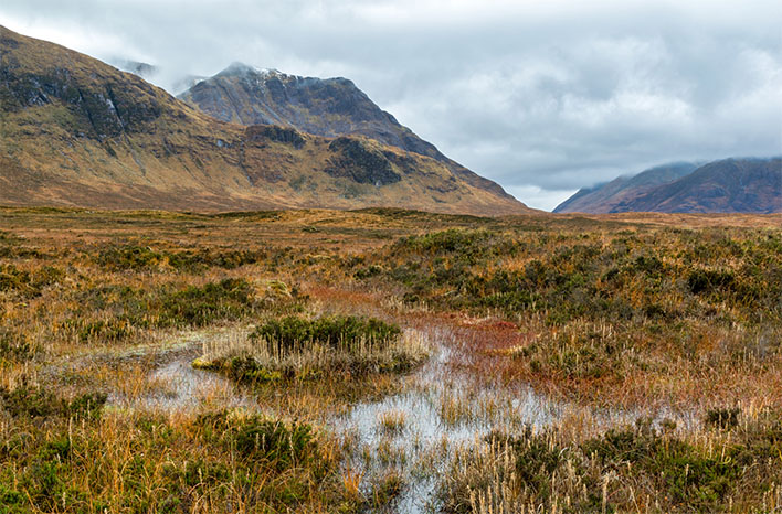 A peat bog in Scotland