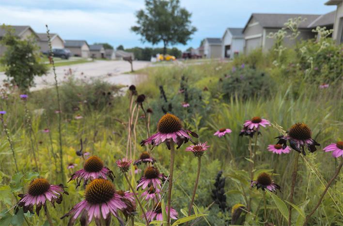 Benjamin Vogt's Natural Garden