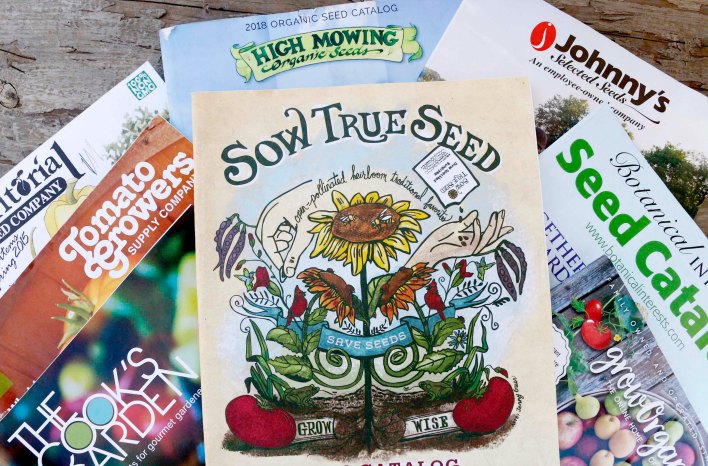 Seed Catalogs